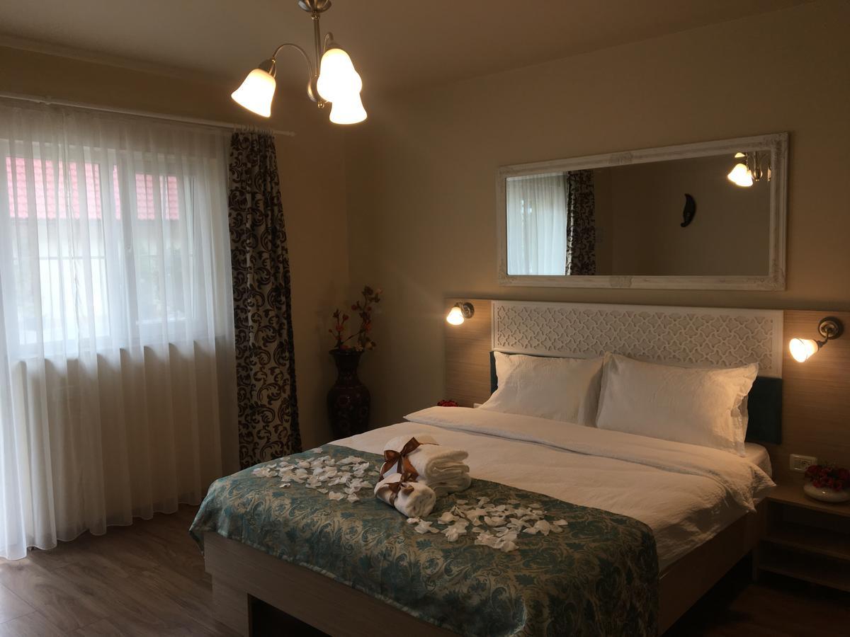 Vila Nicole Hotel Hateg Luaran gambar