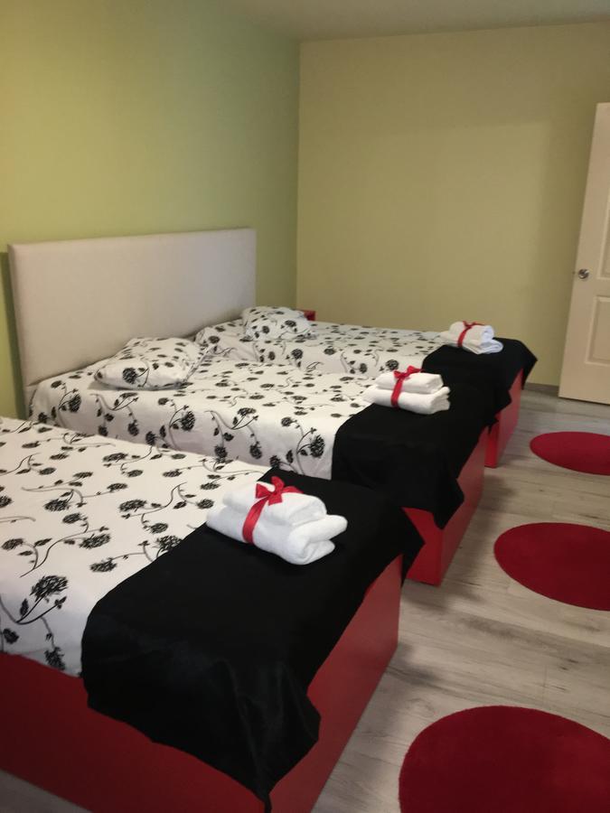 Vila Nicole Hotel Hateg Luaran gambar